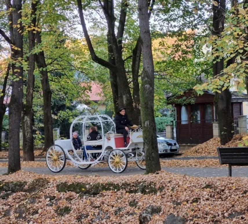 Apolon Spa Vrnjačka Banja Eksteriør billede